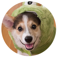 test03
